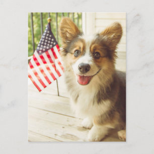 Sötaste baby djur Amerikansk flagga Corgi Vykort