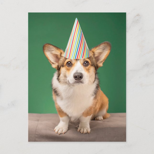 Sötaste baby djur | Corgi födelsedag valp Vykort (Framsida)