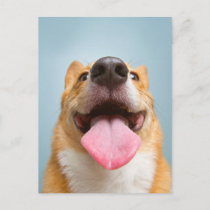 Sötaste baby djur Corgi Tunga Vykort