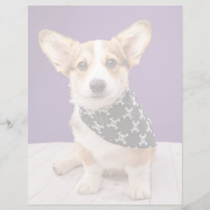 Sötaste baby djur   Corgi-valp skalle bandana