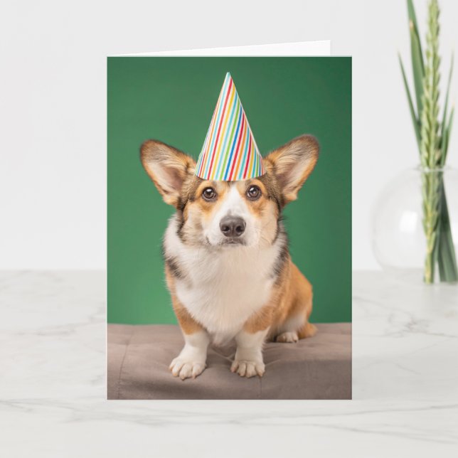 Sötaste baby djuren | Corgi födelsedag valp Kort (Framsida)
