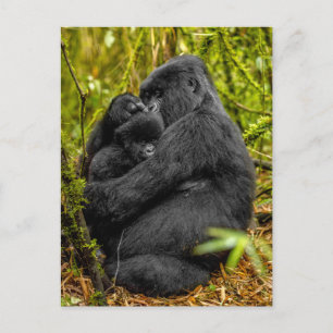 Sötaste babyddjur Gorilla & Baby Vykort