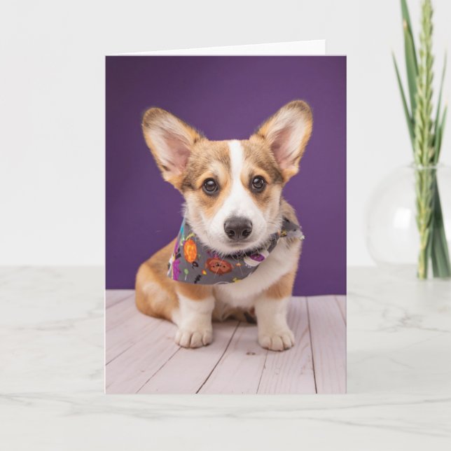 Sötaste babyddjur | Halloween Corgi Kort (Framsida)