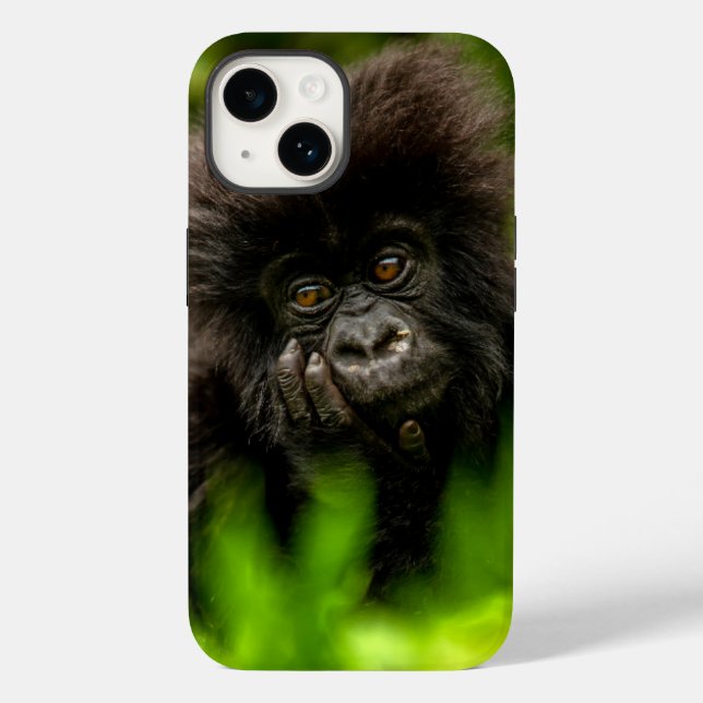 Sötaste babyddjur | Spädbarn Bergsgorilla (Baksida)