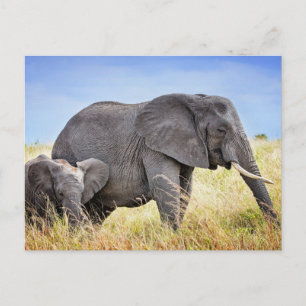 Sötaste djurungar   Afrikansk elefant & mamma Vykort