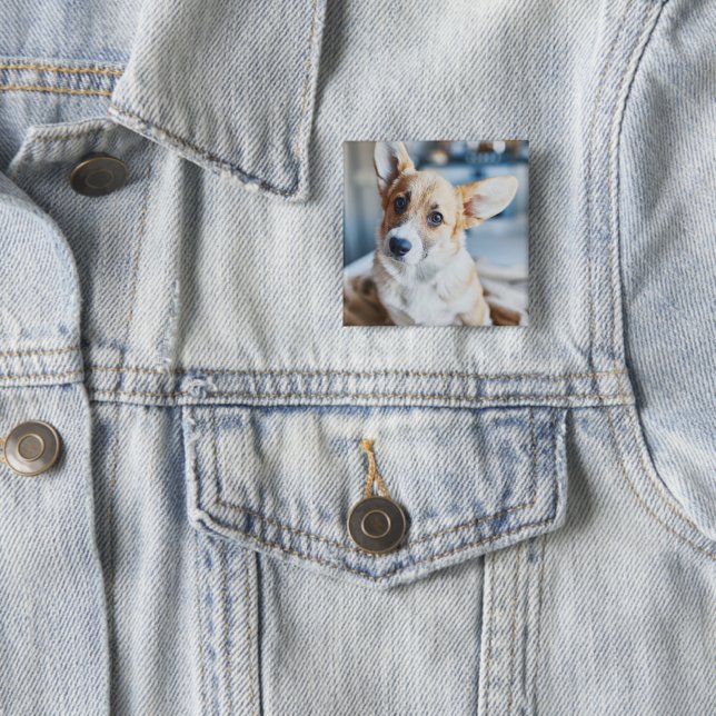 Sötaste djurungar | Corgi huvudet lutar Knapp (In Situ)
