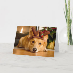 Sötaste djurungar Corgi Jul Reindeer Kort