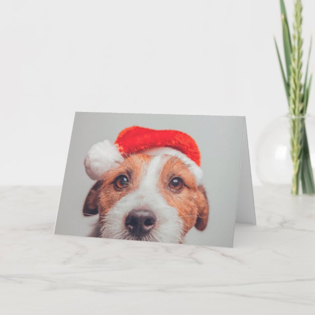 Sötaste djurungar | Jack Russell hund jultomten Kort (Framsida)
