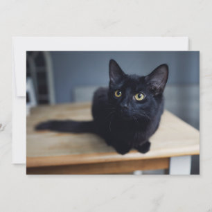 Sötaste djurungar Porträtt av en svart katt Tack Kort