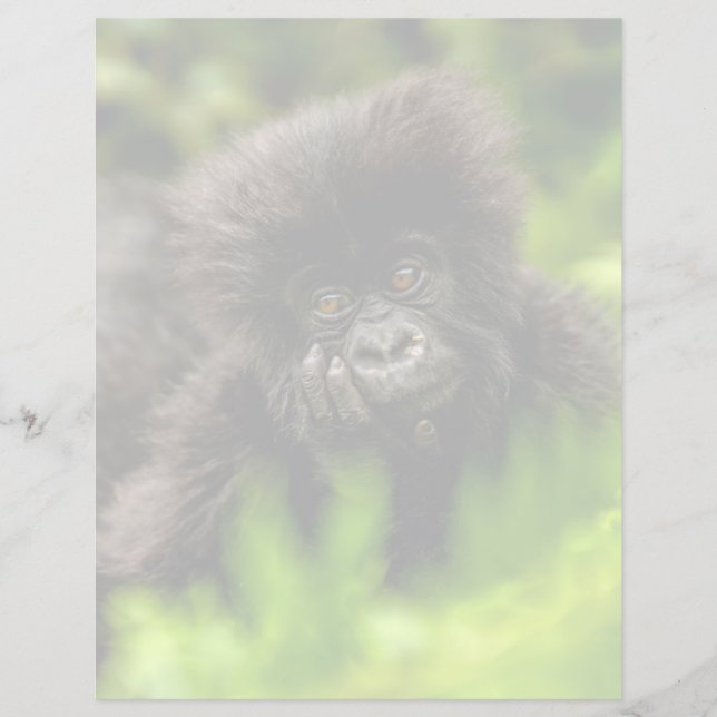 Sötaste djurungar | Spädbarn till bergsgorilla (Framsida)