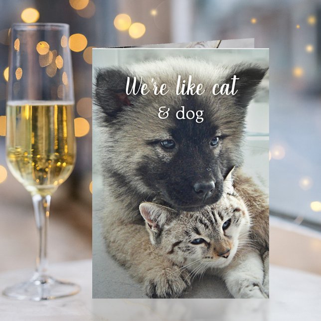 Sötaste Katt- och Hund Alla hjärtans dagskort Kort (Adorable Valentine's Day card featuring a sweet cat and dog)
