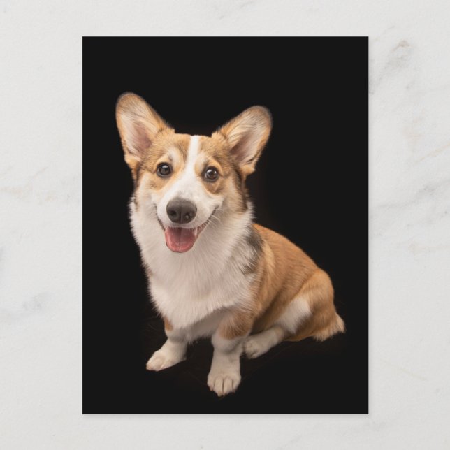 Sötaste små djurungar | Corgi-valpens leende Vykort (Framsida)