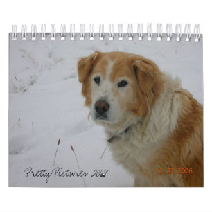 Sötbilder 2008 kalender