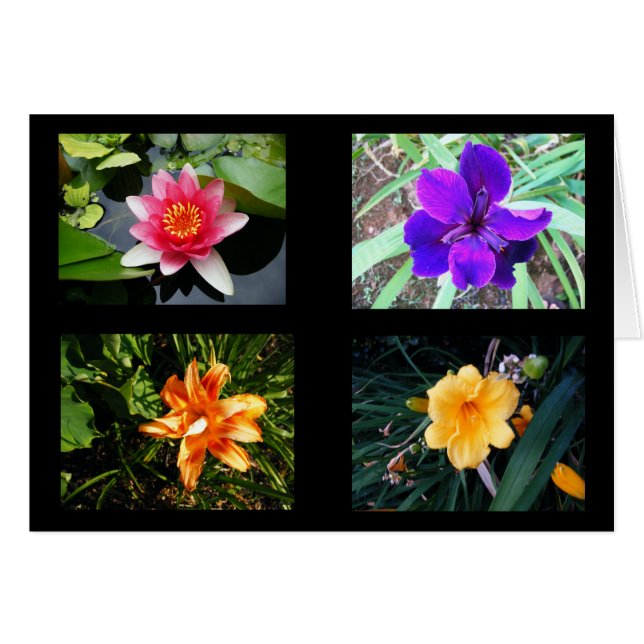 Sötblommor som är tomma hälsningskort (Framsidan Horizontal)