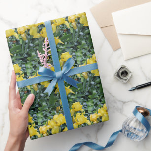 Söten gulnar Iristrädgården Presentpapper
