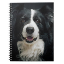 Sötens Hund