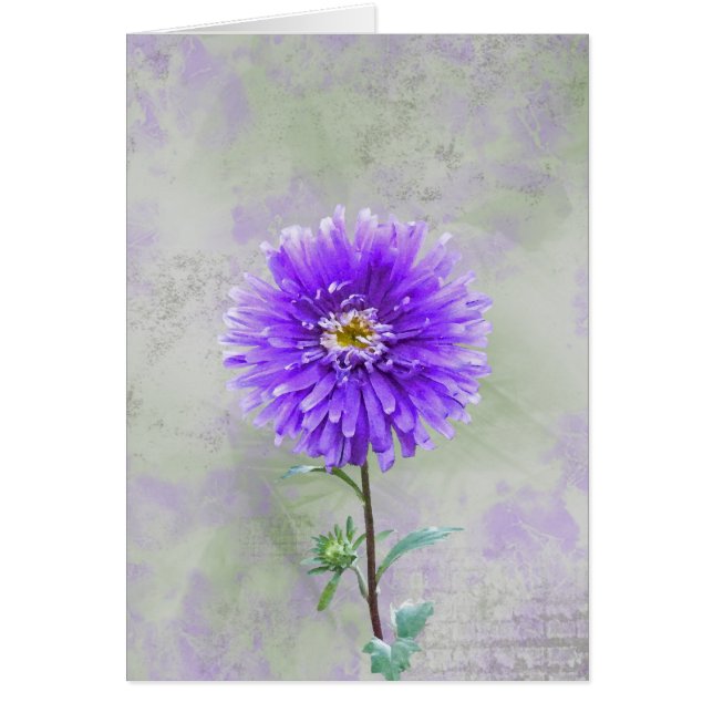 Sötens Lila OBS Kort (Framsidan)