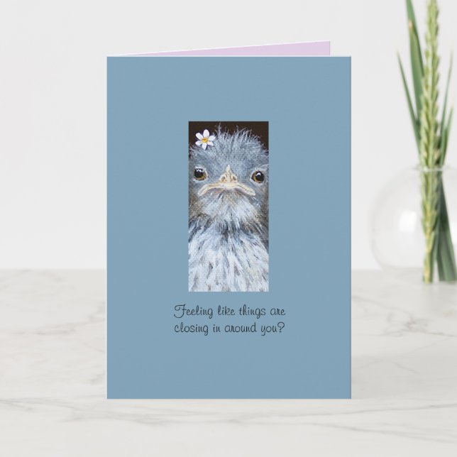 Sötfågeljakt Kort (Framsida)