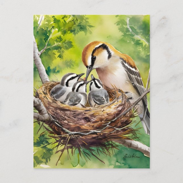 Sötfågelsnitts målning vykort (Framsida)