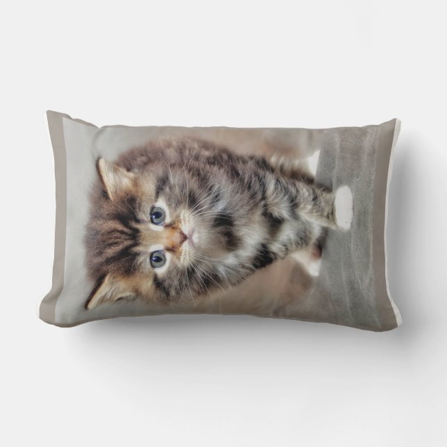 Sötgrumpy Baby Kitten Lumbarkudde (Framsida)