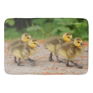 Söthet på Parad: Kanada Goose Goslings Badrumsmatta