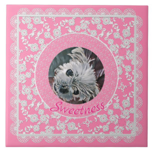 Söthet-Rosa-Puppy-FOTOMALL- Kakelplatta