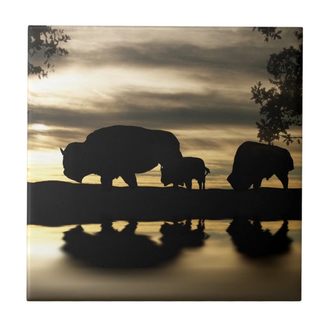 Söthwest Art Tile Kakelplatta (Framsidan)