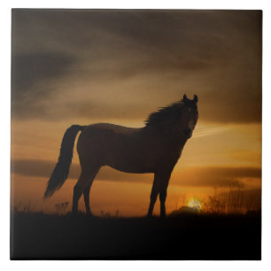 Söthwest Horse and Sol Art Tile Kakelplatta