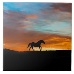 Söthwest Horse and Sunrise Art Tile Kakelplatta