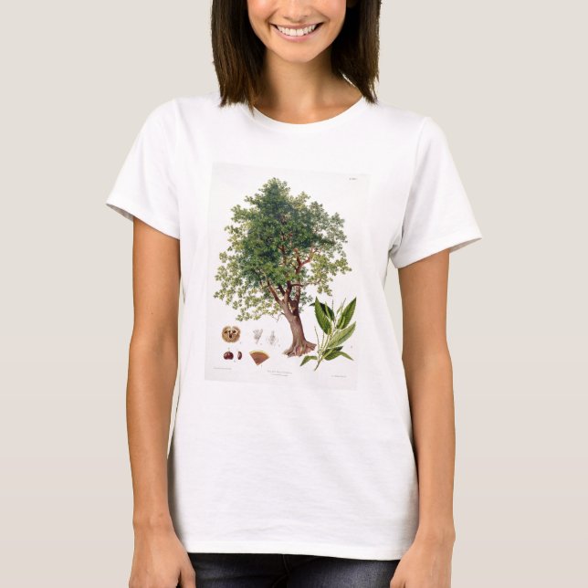 Sötkastanj, präglad av A. Haase (färg litho) Tee Shirt (Framsida)