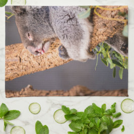 Sötkoala Kökshandduk