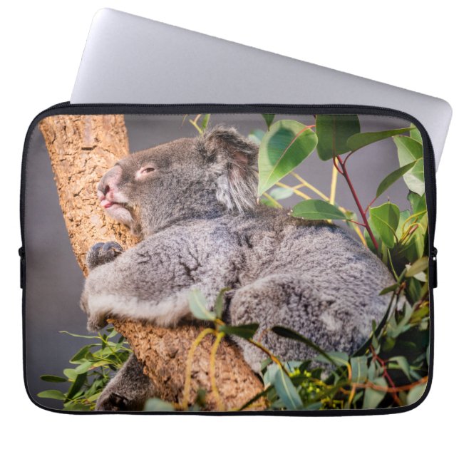 Sötkoala Laptop Fodral (Framsidan)