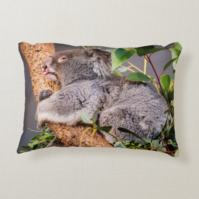 Sötkoala Prydnadskudde (Baksidan)