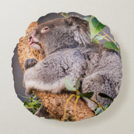 Sötkoala Rund Kudde