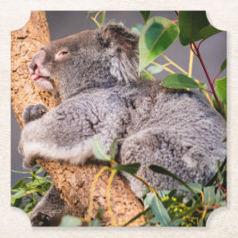Sötkoala Underlägg Papper
