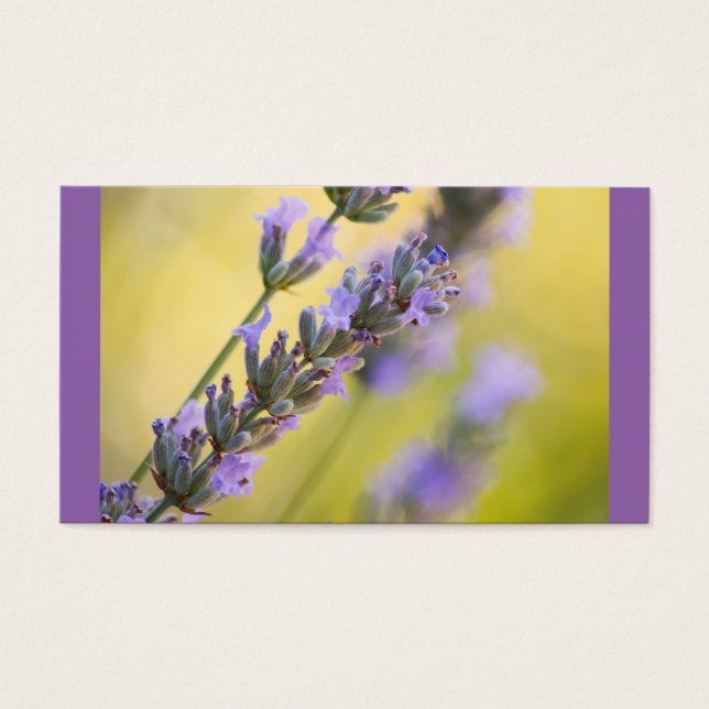 Sötlavender Visitkort (Framsidan)