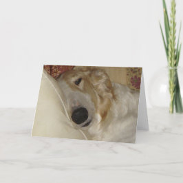 Sötningsportet Meddelande