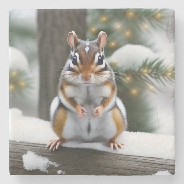 Sötnos Paj Chipmunk Stenunderlägg (Framsidan)