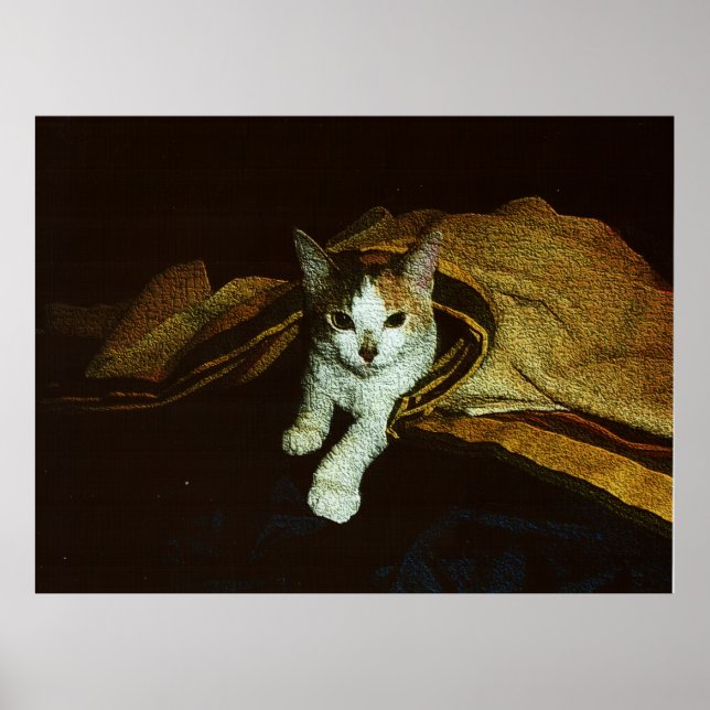 Sötnos som kattunge poster (Framsidan)