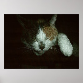 Sötnos som sover på en katthus poster