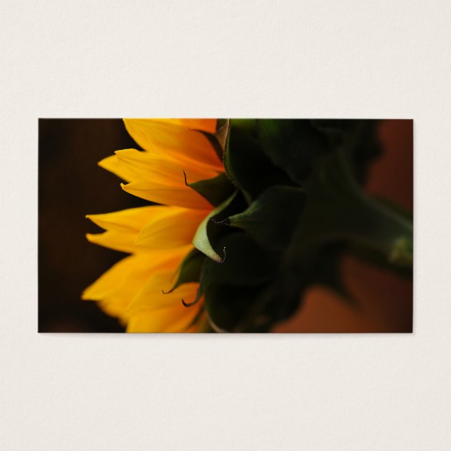 Sötnotering (solros) visitkort (Framsidan)