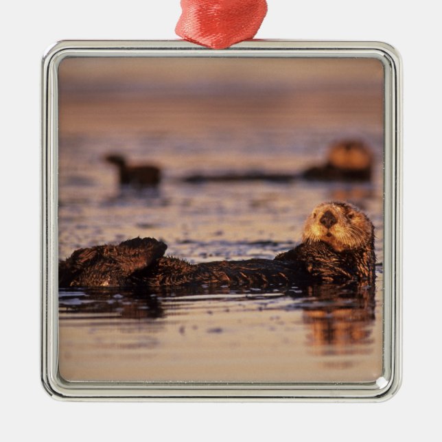 Sotrar, Enhydra lutris 3 Julgransprydnad Metall (Framsidan)