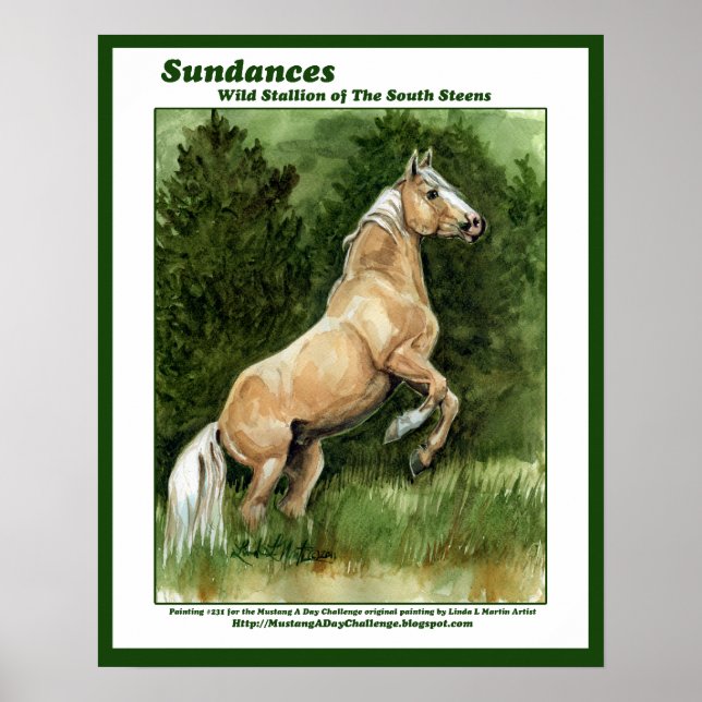Sötsöarnas Vild Stallion Poster (Framsidan)