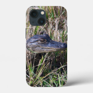 Sött babyalligator i högt gräs Vilda djur foto