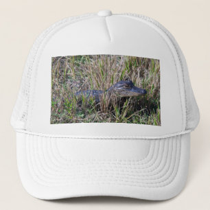 Sött babyalligator på gräset Naturfotografi Keps