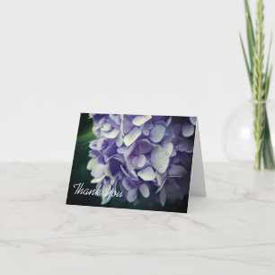 Sött blått Hydrangea Flower Tack, ditt kort
