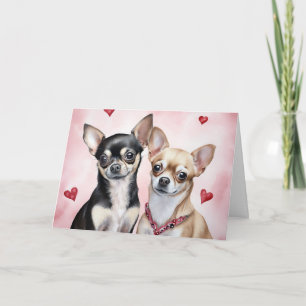Sött Chihuahua-par Kort