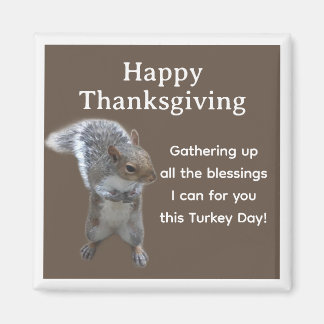 Sött Ekorre Foto Glad Thanksgiving Day Magnet