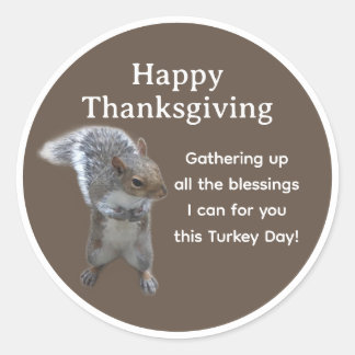 Sött Ekorre Foto Glad Thanksgiving Day Runt Klistermärke