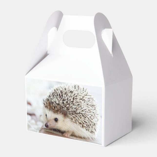 Sött Foto på Baby Igelkott Presentaskar (Baksidan Sidan)